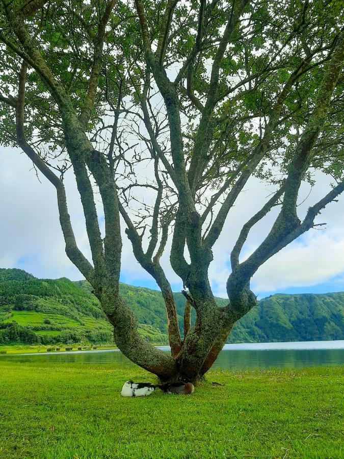Sete Cidades Nature Villa Exterior foto